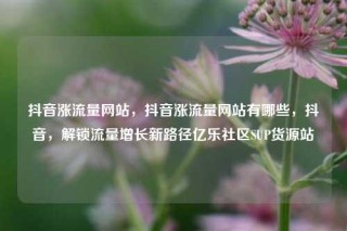 抖音涨流量网站，抖音涨流量网站有哪些，抖音，解锁流量增长新路径亿乐社区SUP货源站