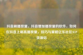 抖音刷播放量，抖音增加播放量的软件，如何在抖音上刷高播放量，技巧与策略亿乐社区SUP货源站