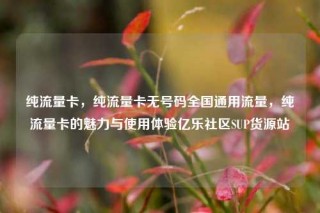 纯流量卡，纯流量卡无号码全国通用流量，纯流量卡的魅力与使用体验亿乐社区SUP货源站