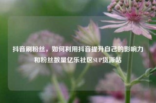 抖音刷粉丝，如何利用抖音提升自己的影响力和粉丝数量亿乐社区SUP货源站