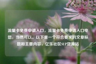 流量卡免费申请入口，流量卡免费申请入口电信，当然可以。以下是一个符合要求的文章标题和主要内容，亿乐社区SUP货源站