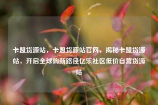 卡盟货源站，卡盟货源站官网，揭秘卡盟货源站，开启全球购新路径亿乐社区低价自营货源站
