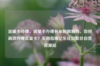流量卡办理，流量卡办理有年龄限制吗，如何高效办理流量卡？实用指南亿乐社区低价自营货源站