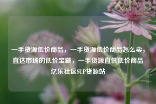 一手货源低价商品，一手货源低价商品怎么卖，直达市场的低价宝藏，一手货源直供低价商品亿乐社区SUP货源站