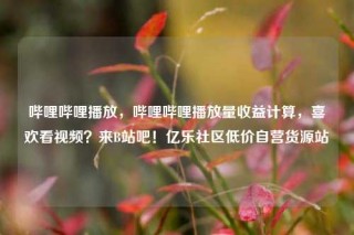 哔哩哔哩播放，哔哩哔哩播放量收益计算，喜欢看视频？来B站吧！亿乐社区低价自营货源站