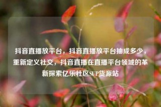 抖音直播放平台，抖音直播放平台抽成多少，重新定义社交，抖音直播在直播平台领域的革新探索亿乐社区SUP货源站