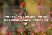 小红书粉丝，小红书粉丝如何涨，小红书粉，解锁生活美学的新篇章亿乐社区低价自营货源站