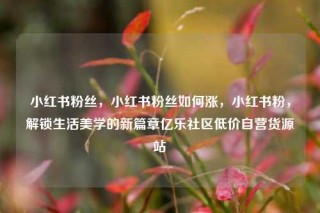 小红书粉丝，小红书粉丝如何涨，小红书粉，解锁生活美学的新篇章亿乐社区低价自营货源站