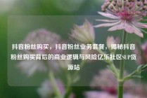 抖音粉丝购买，抖音粉丝业务套餐，揭秘抖音粉丝购买背后的商业逻辑与风险亿乐社区SUP货源站