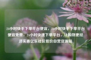 24小时快手下单平台便宜，24小时快手下单平台便宜免费，24小时快速下单平台，让购物更经济实惠亿乐社区低价自营货源站