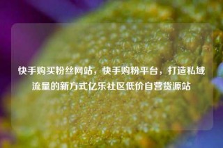 快手购买粉丝网站，快手购粉平台，打造私域流量的新方式亿乐社区低价自营货源站