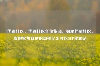 代刷社区，代刷社区低价货源，揭秘代刷社区，虚假繁荣背后的真相亿乐社区SUP货源站