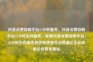 抖音点赞自助平台24小时服务，抖音点赞自助平台24小时全网最低，探索抖音点赞自助平台，24小时在线服务助你快速提升点赞量亿乐社区低价自营货源站