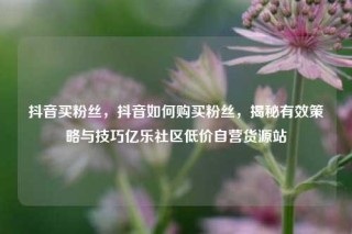 抖音买粉丝，抖音如何购买粉丝，揭秘有效策略与技巧亿乐社区低价自营货源站