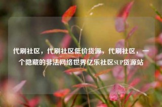 代刷社区，代刷社区低价货源，代刷社区，一个隐藏的非法网络世界亿乐社区SUP货源站