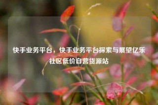 快手业务平台，快手业务平台探索与展望亿乐社区低价自营货源站