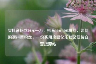 买抖音粉丝10元一万，抖音10元1000粉丝，如何购买抖音粉丝，一份实用攻略亿乐社区低价自营货源站