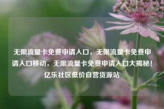 无限流量卡免费申请入口，无限流量卡免费申请入口移动，无限流量卡免费申请入口大揭秘！亿乐社区低价自营货源站