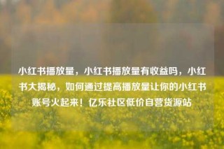 小红书播放量，小红书播放量有收益吗，小红书大揭秘，如何通过提高播放量让你的小红书账号火起来！亿乐社区低价自营货源站