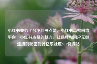小红书业务平台小红书点赞，小红书点赞网络平台，小红书点赞的魅力，让品牌和用户无缝连接的秘密武器亿乐社区SUP货源站