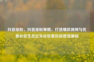 抖音涨粉，抖音涨粉策略，打造爆款视频与优质社区生态亿乐社区低价自营货源站