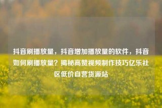 抖音刷播放量，抖音增加播放量的软件，抖音如何刷播放量？揭秘高赞视频制作技巧亿乐社区低价自营货源站