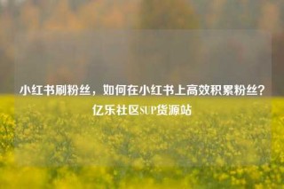 小红书刷粉丝，如何在小红书上高效积累粉丝？亿乐社区SUP货源站