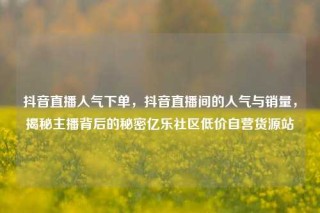 抖音直播人气下单，抖音直播间的人气与销量，揭秘主播背后的秘密亿乐社区低价自营货源站