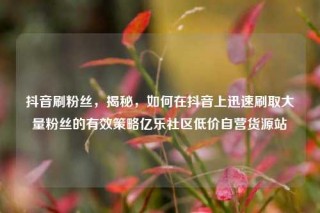 抖音刷粉丝，揭秘，如何在抖音上迅速刷取大量粉丝的有效策略亿乐社区低价自营货源站