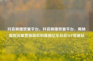 抖音刷播放量平台，抖音刷播放量平台，揭秘虚假流量营销背后的真相亿乐社区SUP货源站