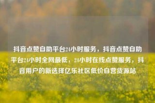 抖音点赞自助平台24小时服务，抖音点赞自助平台24小时全网最低，24小时在线点赞服务，抖音用户的新选择亿乐社区低价自营货源站