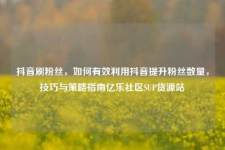 抖音刷粉丝，如何有效利用抖音提升粉丝数量，技巧与策略指南亿乐社区SUP货源站