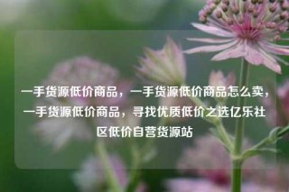 一手货源低价商品，一手货源低价商品怎么卖，一手货源低价商品，寻找优质低价之选亿乐社区低价自营货源站