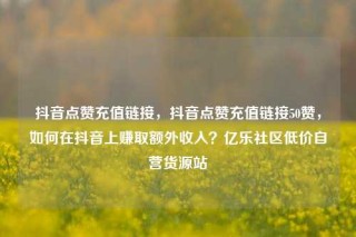 抖音点赞充值链接，抖音点赞充值链接50赞，如何在抖音上赚取额外收入？亿乐社区低价自营货源站