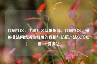代刷社区，代刷社区低价货源，代刷社区，揭秘非法网络活动背后的真相与防范方法亿乐社区SUP货源站