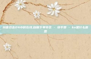 抖音双击24小时在线,自助下单专区 - 快手赞 - ks是什么意思