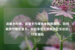 流量卡办理，流量卡办理有年龄限制吗，如何高效办理流量卡，轻松享受无限畅游亿乐社区SUP货源站