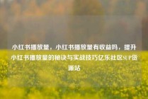 小红书播放量，小红书播放量有收益吗，提升小红书播放量的秘诀与实战技巧亿乐社区SUP货源站