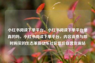 小红书阅读下单平台，小红书阅读下单平台是真的吗，小红书阅读下单平台，内容消费与即时购买的生态革新亿乐社区低价自营货源站