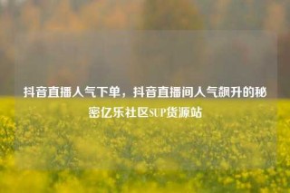 抖音直播人气下单，抖音直播间人气飙升的秘密亿乐社区SUP货源站