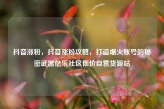 抖音涨粉，抖音涨粉攻略，打造爆火账号的秘密武器亿乐社区低价自营货源站