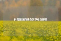 抖音涨粉网站自助下单在哪里