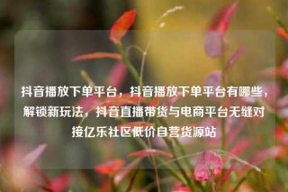 抖音播放下单平台，抖音播放下单平台有哪些，解锁新玩法，抖音直播带货与电商平台无缝对接亿乐社区低价自营货源站