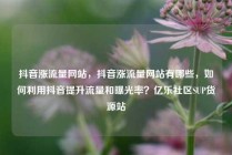 抖音涨流量网站，抖音涨流量网站有哪些，如何利用抖音提升流量和曝光率？亿乐社区SUP货源站