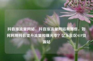 抖音涨流量网站，抖音涨流量网站有哪些，如何利用抖音提升流量和曝光率？亿乐社区SUP货源站