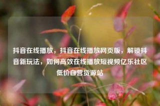 抖音在线播放，抖音在线播放网页版，解锁抖音新玩法，如何高效在线播放短视频亿乐社区低价自营货源站