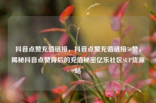 抖音点赞充值链接，抖音点赞充值链接50赞，揭秘抖音点赞背后的充值秘密亿乐社区SUP货源站
