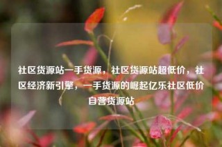 社区货源站一手货源，社区货源站超低价，社区经济新引擎，一手货源的崛起亿乐社区低价自营货源站