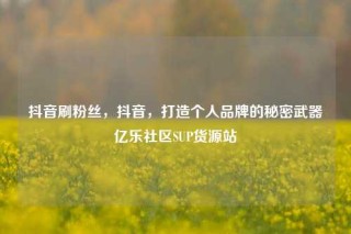 抖音刷粉丝，抖音，打造个人品牌的秘密武器亿乐社区SUP货源站