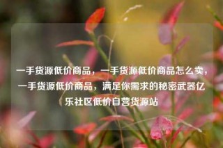 一手货源低价商品，一手货源低价商品怎么卖，一手货源低价商品，满足你需求的秘密武器亿乐社区低价自营货源站
